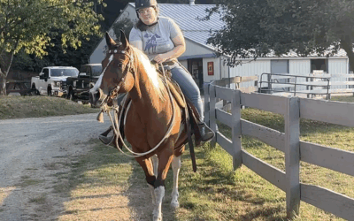 Brownie Out and About