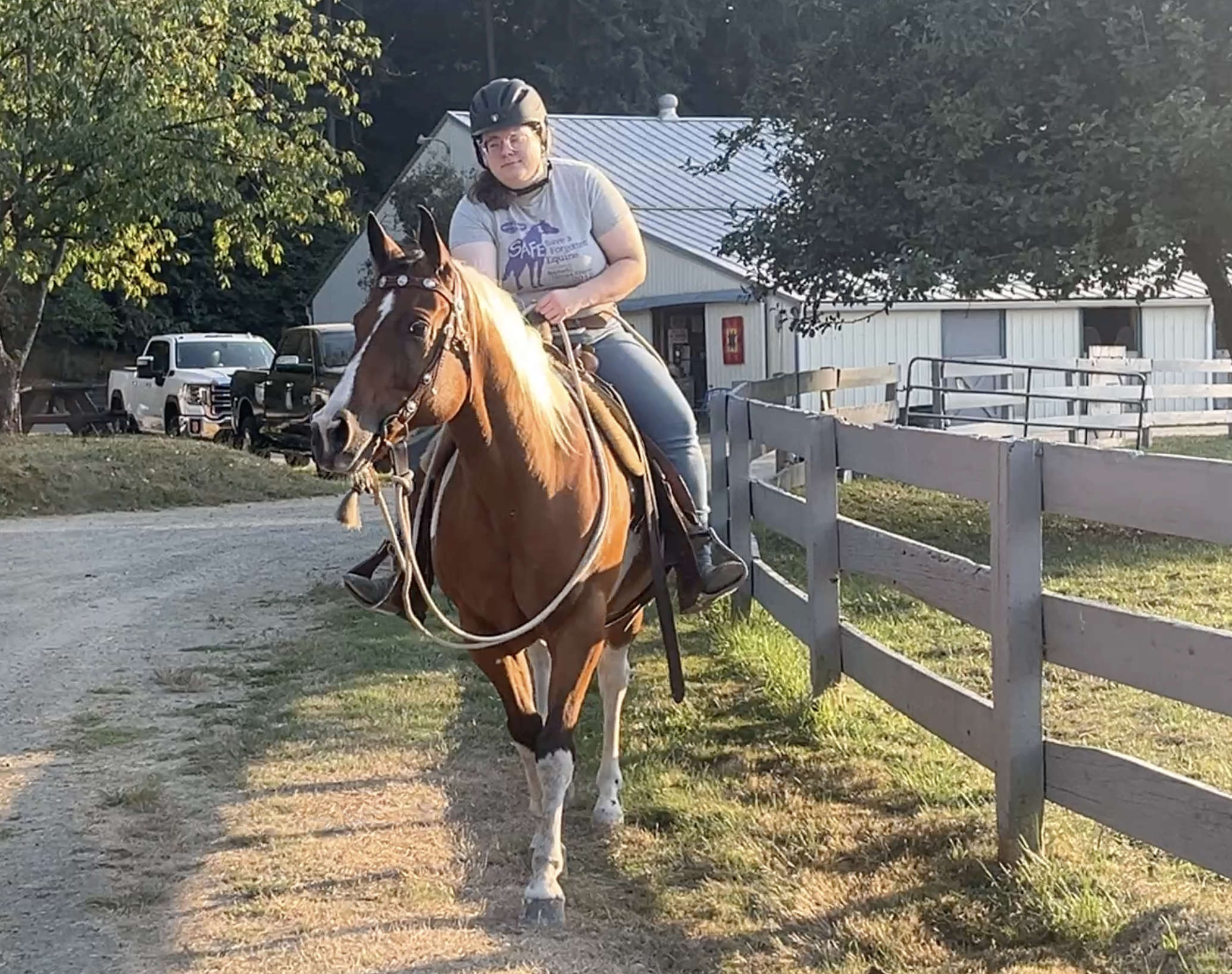 Brownie Out and About