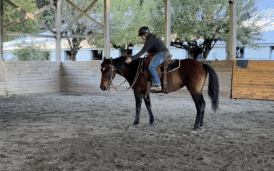 Eda’s a Riding Horse!