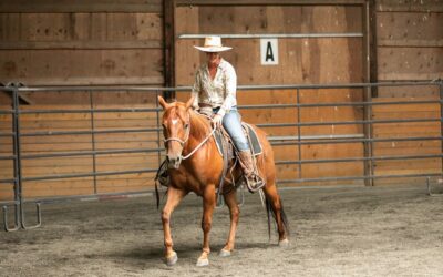Harissa is a Riding Horse!