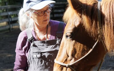 October Volunteer of the Month: Liz Olver