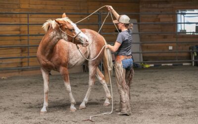 October Joel Conner Clinic Report: Maisy