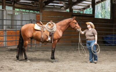 October Joel Conner Clinic Report: Mateo