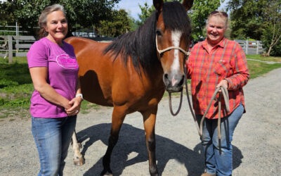 Pepper is Adopted!