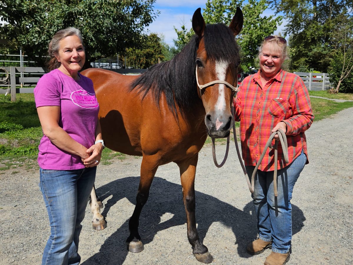 Pepper is Adopted!
