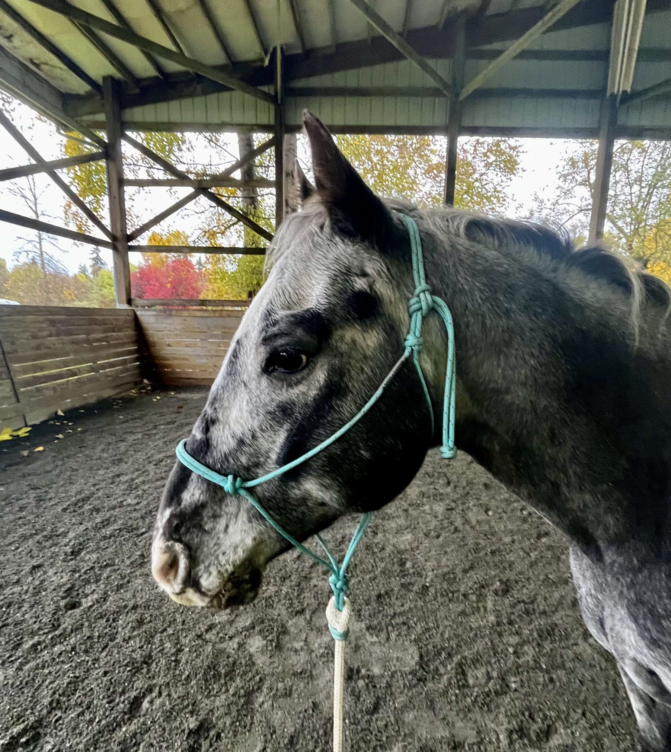 October Joel Conner Clinic Report: Ranger