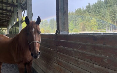 Sienna Under the Rainbow