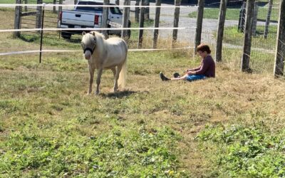 Alumni Update: Sugar (Ko)