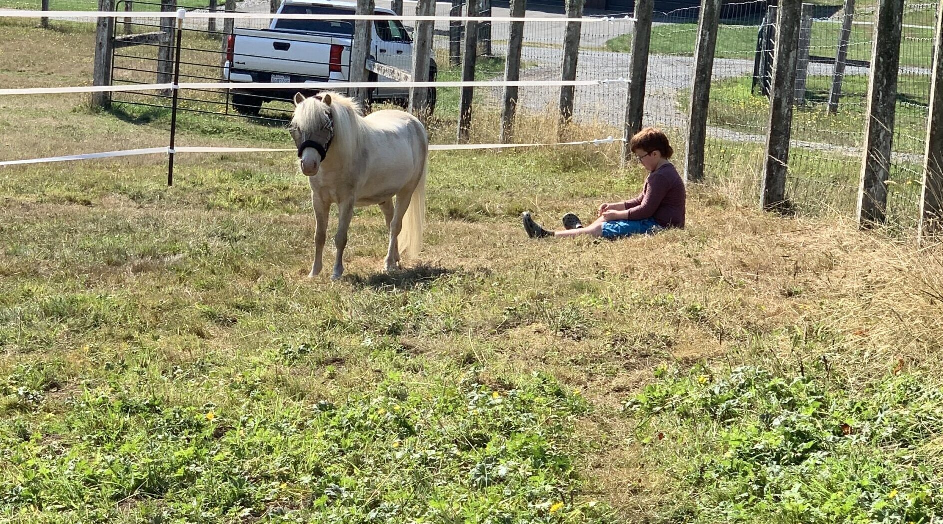 Alumni Update: Sugar (Ko)