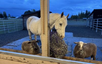 Alumni Update: Bliss