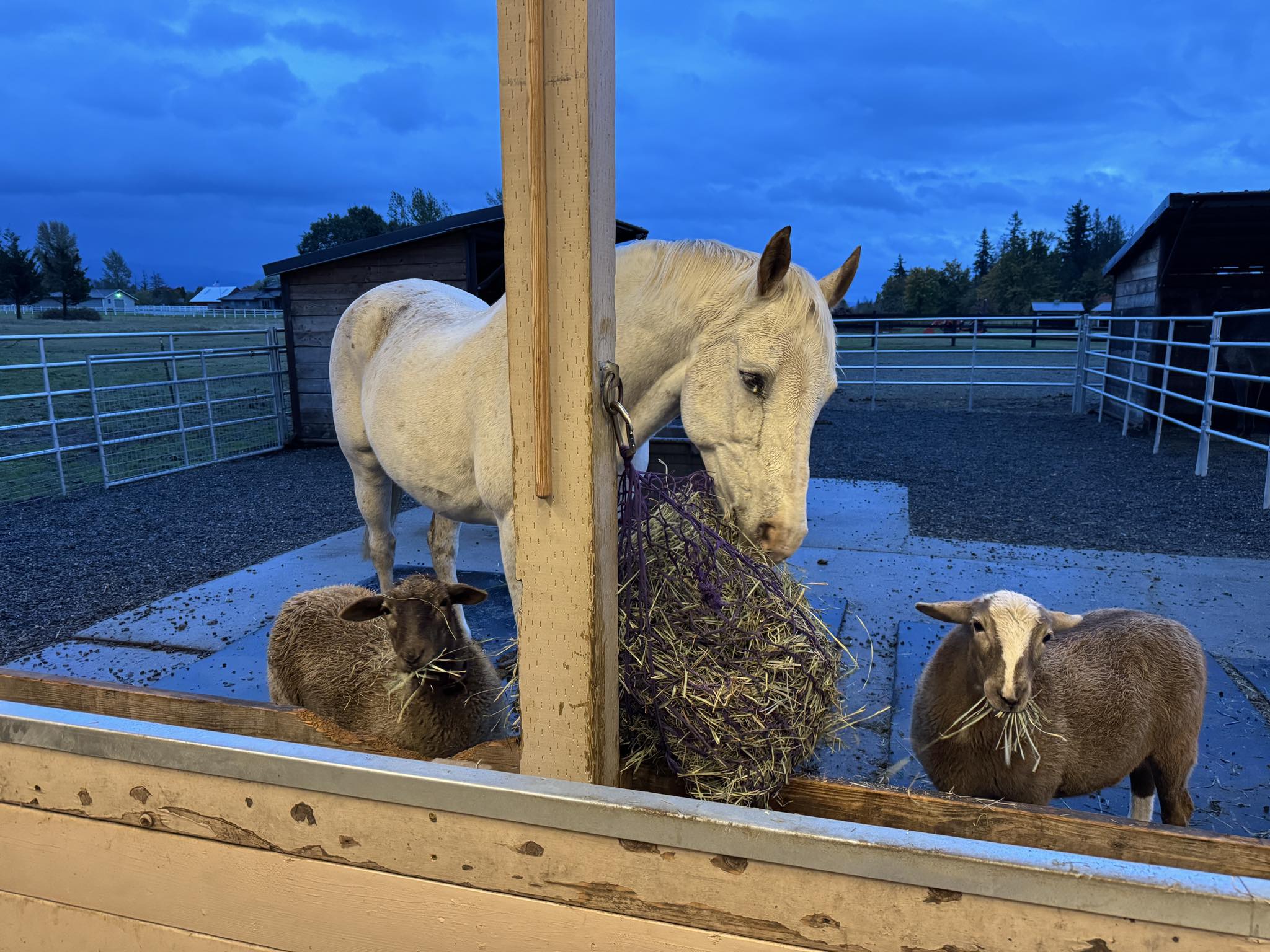 Alumni Update: Bliss