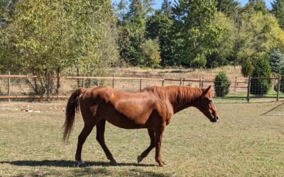 Alumni Update: Freya