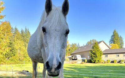 Alumni Update: Heidi