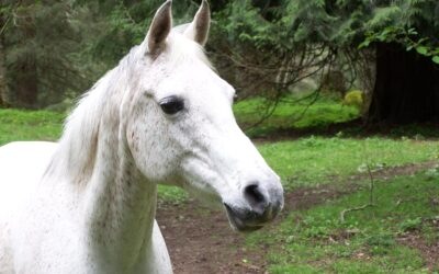 Alumni Update: Karma