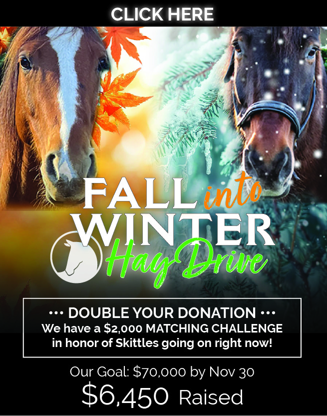 fall_into_winter_web_1114