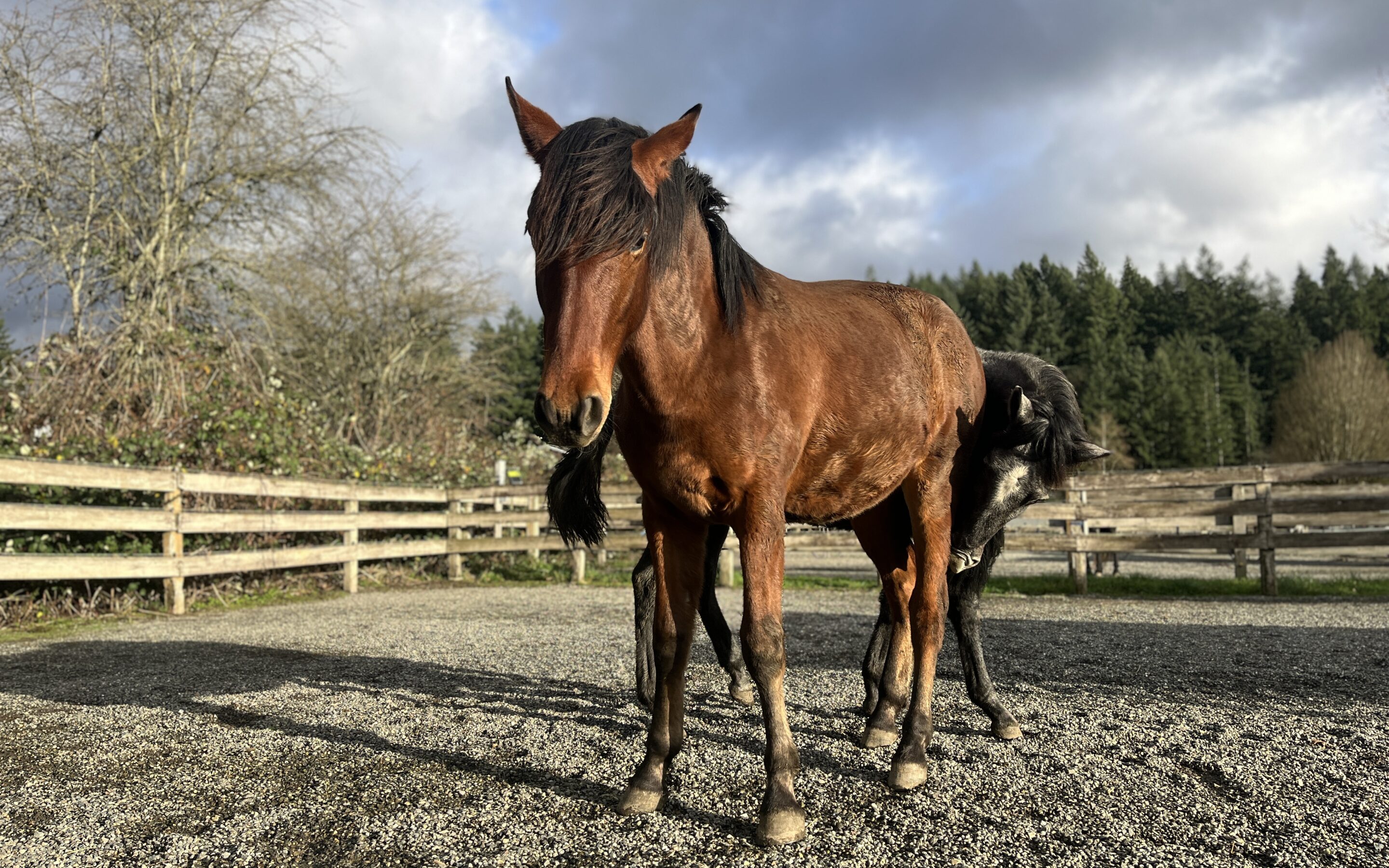 Alvaro is a Growing Guy