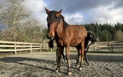 Alvaro is a Growing Guy