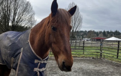 Edward Back at&nbsp;SAFE