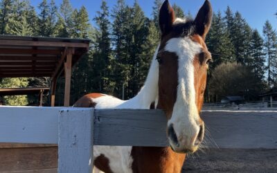 Bridgit is the Best!