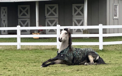 Alumni Update: Frosting (Shawnee)