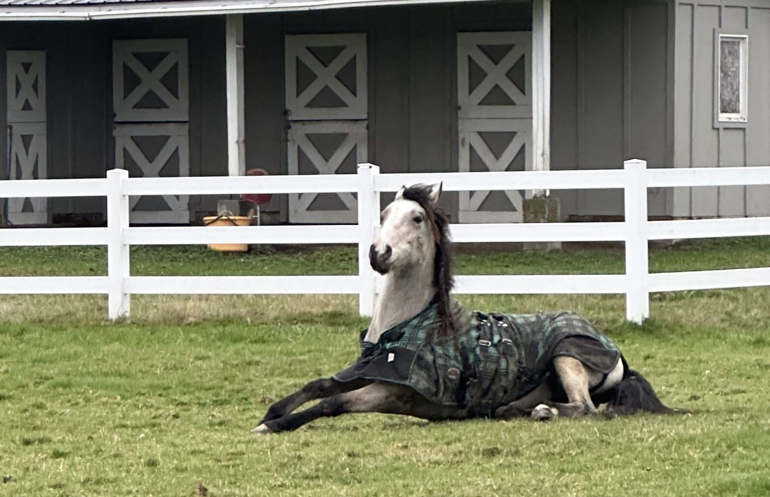 Alumni Update: Frosting (Shawnee)