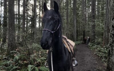 Mahina on the Trails