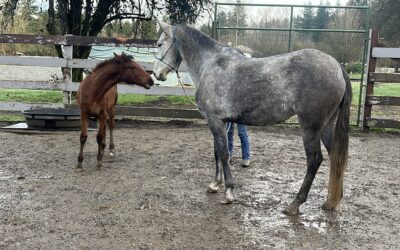 New Friends: Wednesday and Marigold