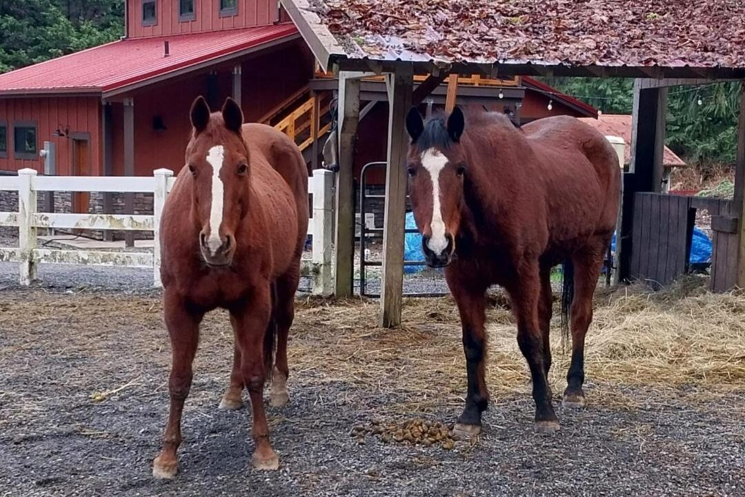 Alumni Update: Tess (Purty)