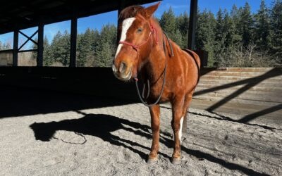 Oh Tiva my&nbsp;Tiva