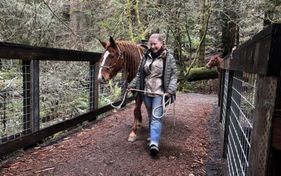 Veronica’s Sunny&nbsp;Days
