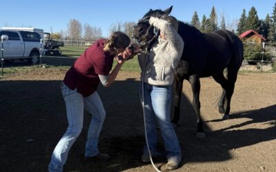 Spa Day for&nbsp;Nova