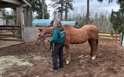 Alumni Update: Angel, Renee and Sebastian (Sparky)