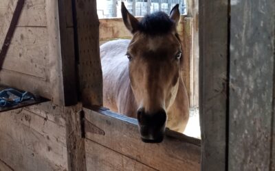 Alumni Update: Arrow