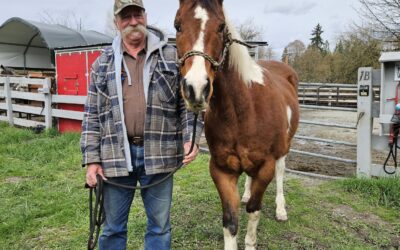 Brownie is Adopted!