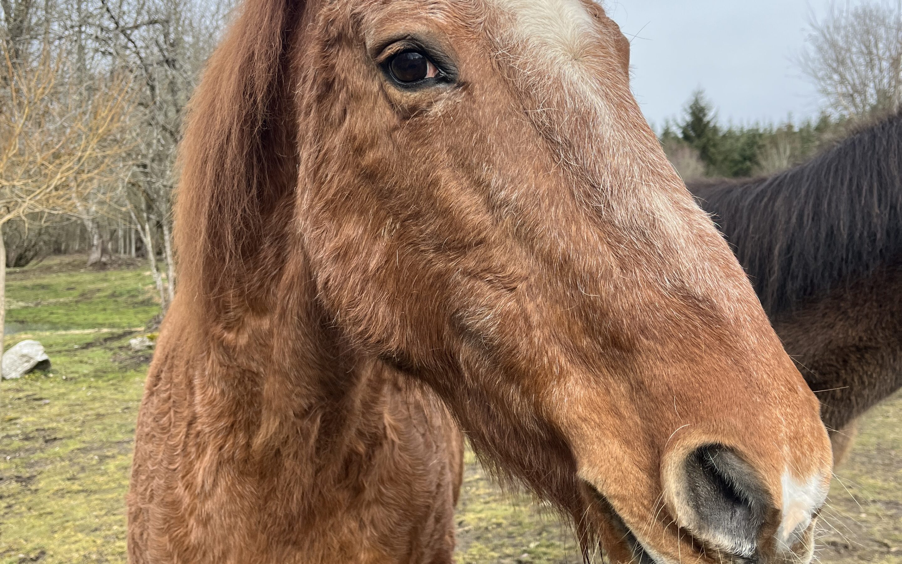 Alumni Update: Freya