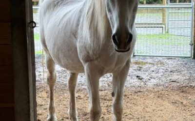 Alumni Update: Heidi