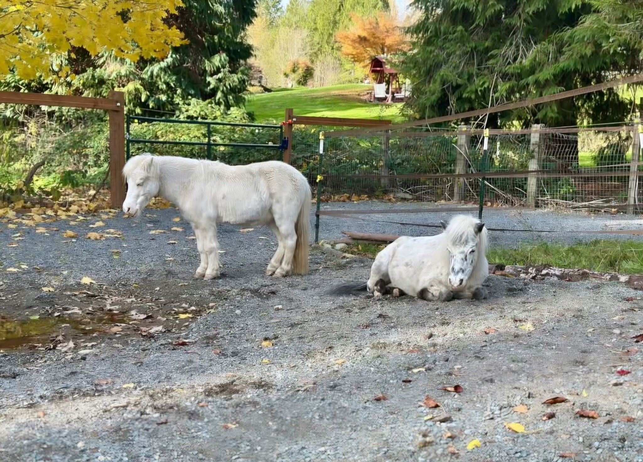 Alumni Update: Po & Ladigo —&nbsp;BFFs