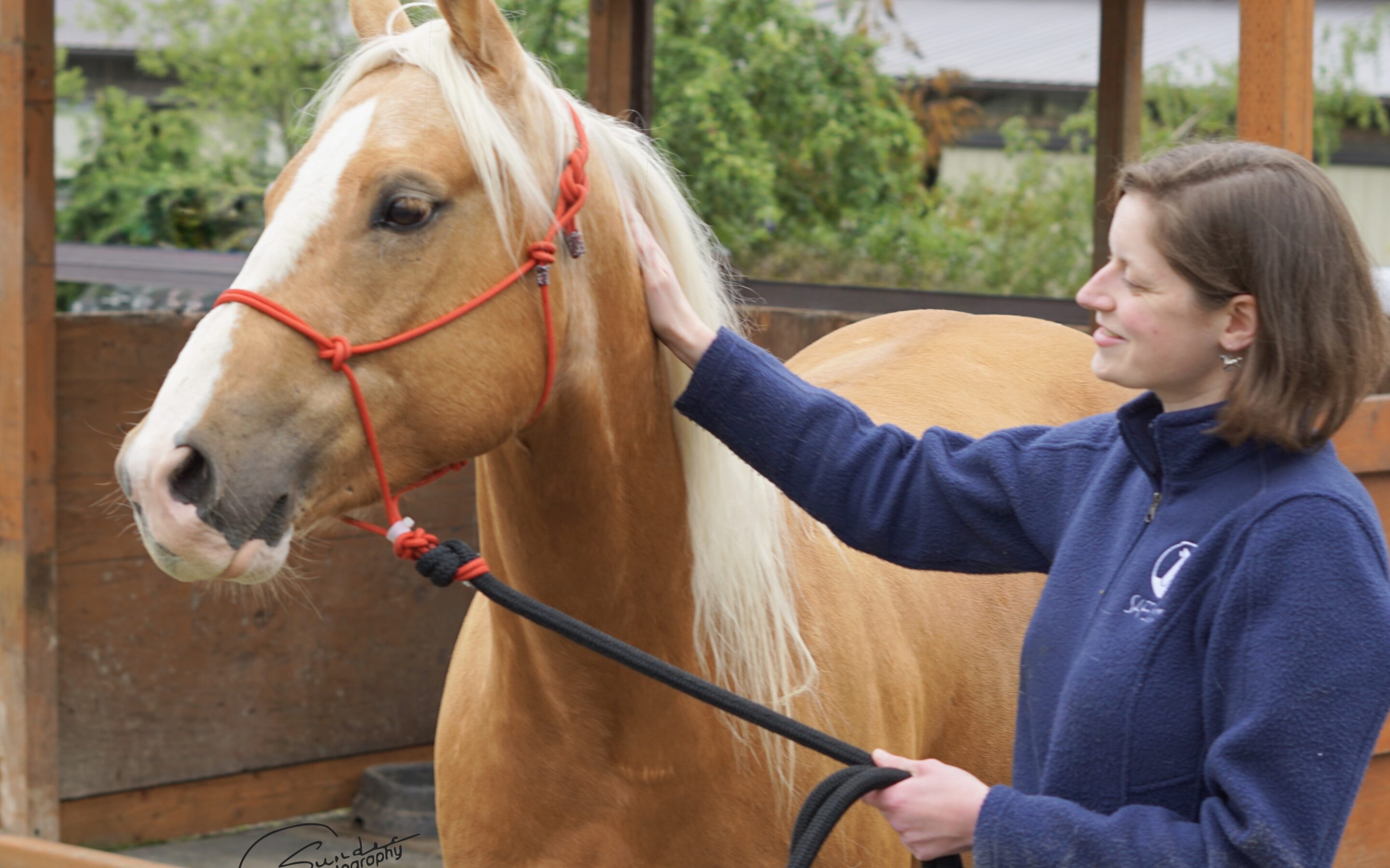 June Volunteer of the Month: Ann Marie&nbsp;Raab