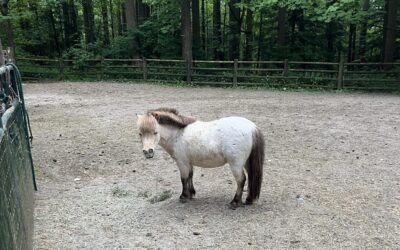 Alumni Update: Champagne