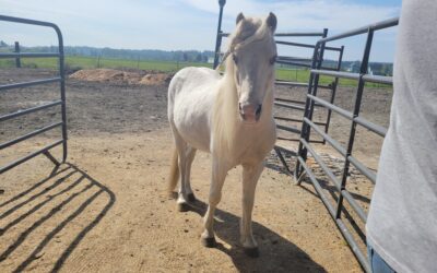 Alumni Update: Quincy