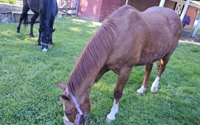 Alumni Update: Rusty