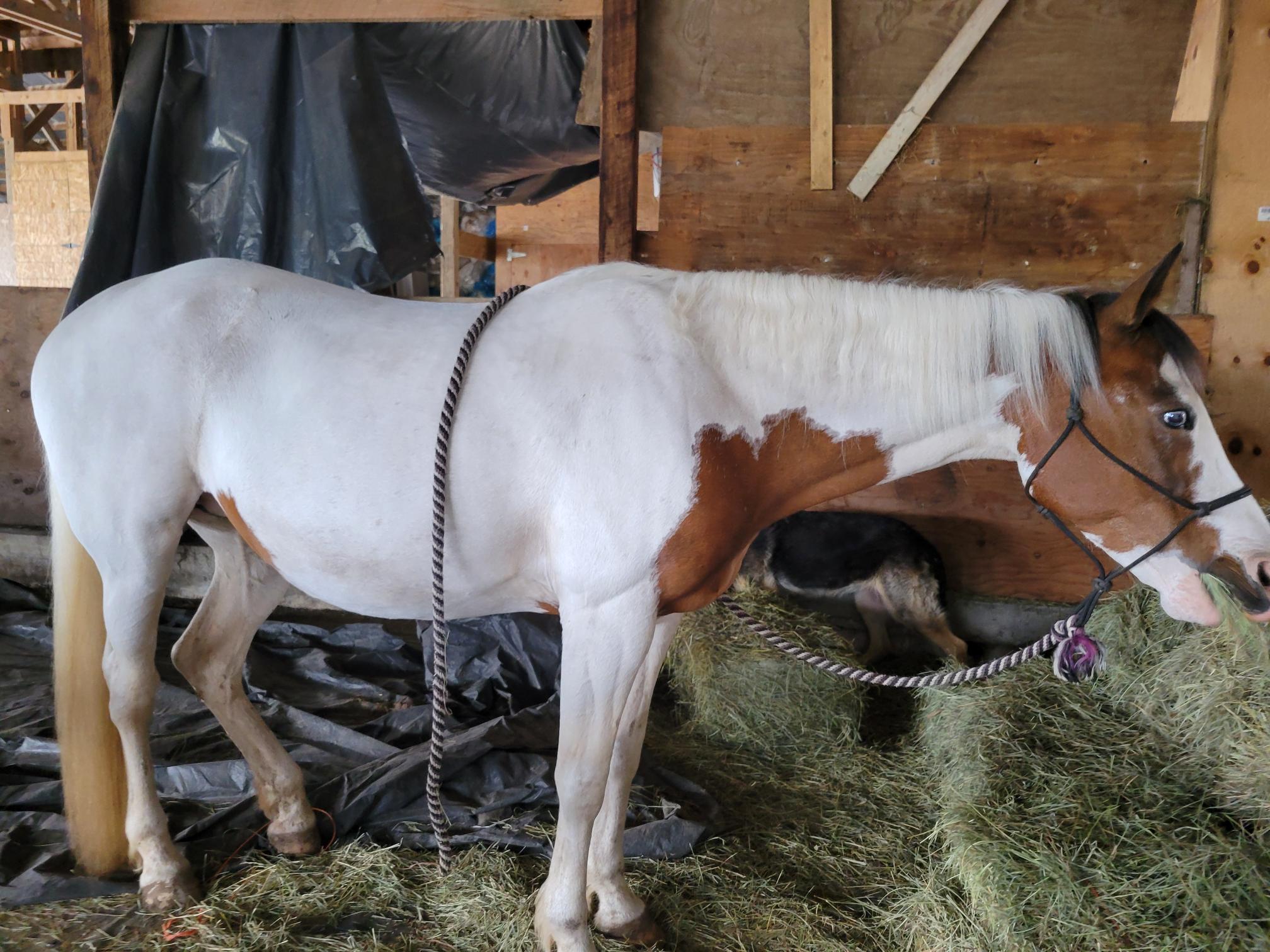Alumni Update: Shiloh