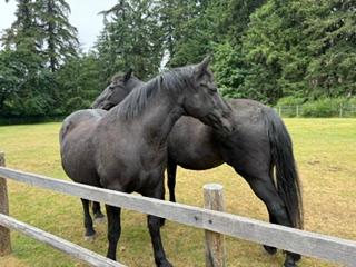 Alumni Update: Betty and Eleven