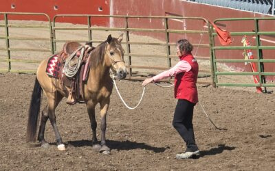 Buck Brannaman Clinic Report: Esme
