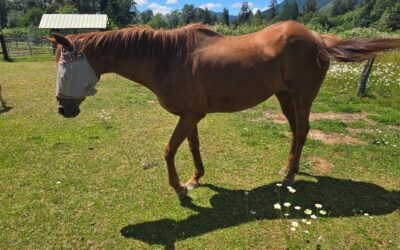 Alumni Update: Dottie