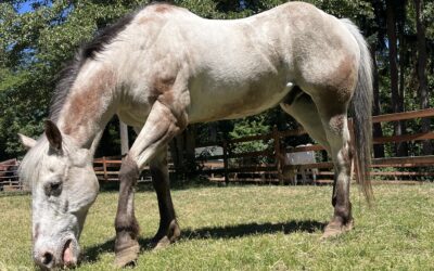 Alumni Update: Flynn