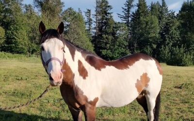 Alumni Update: Montana