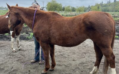 Alumni Update: Mason and Scarlett
