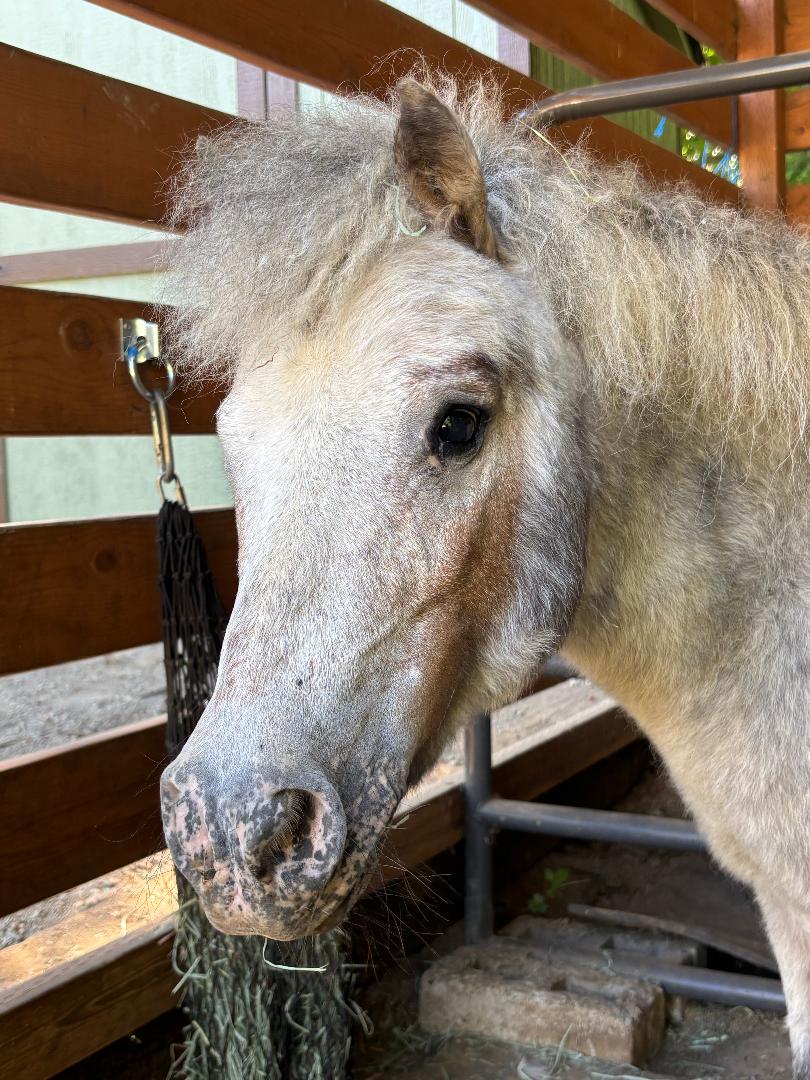 Alumni Update: Emery (Stevie)