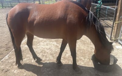 Alumni Update: Jill